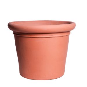 Palmera mallorquina terracota