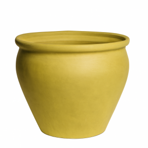Coco amarillo mate