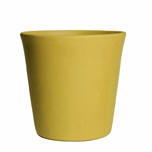 Recta amarillo mate