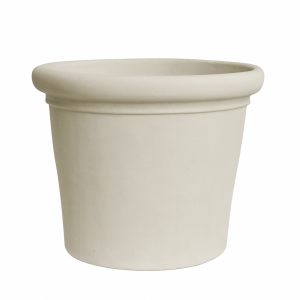 Palmera mallorquina crema mate