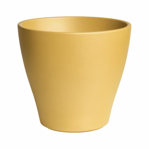 Campana mango mate