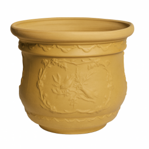 Pájaro mango mate