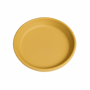 Plato mango mate
