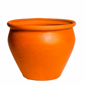 Coco naranja selenio brillo