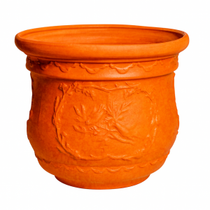 Pájaro naranja selenio brillo