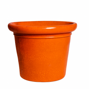 Palmera mallorquina naranja selenio brillo