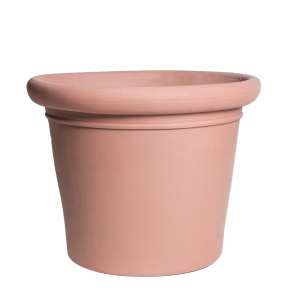 Palmera mallorquina rosa pastel mate