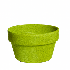 Maceta chata verde selenio brillo