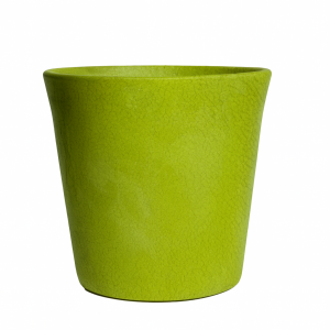 Recta verde selenio brillo
